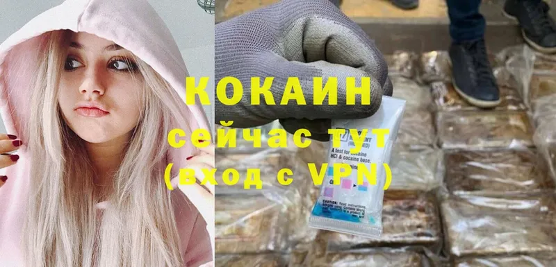 COCAIN 99%  Камышлов 