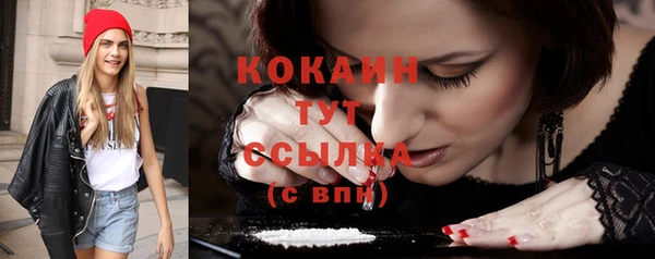 индика Михайловск