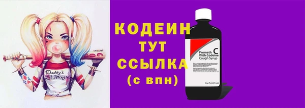 индика Михайловск