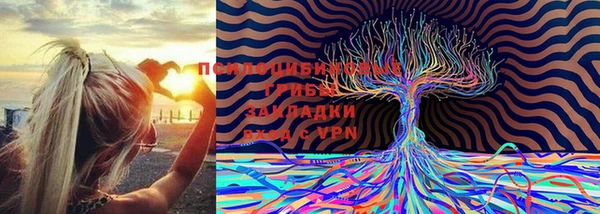 индика Михайловск