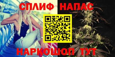 сатива Жуковский