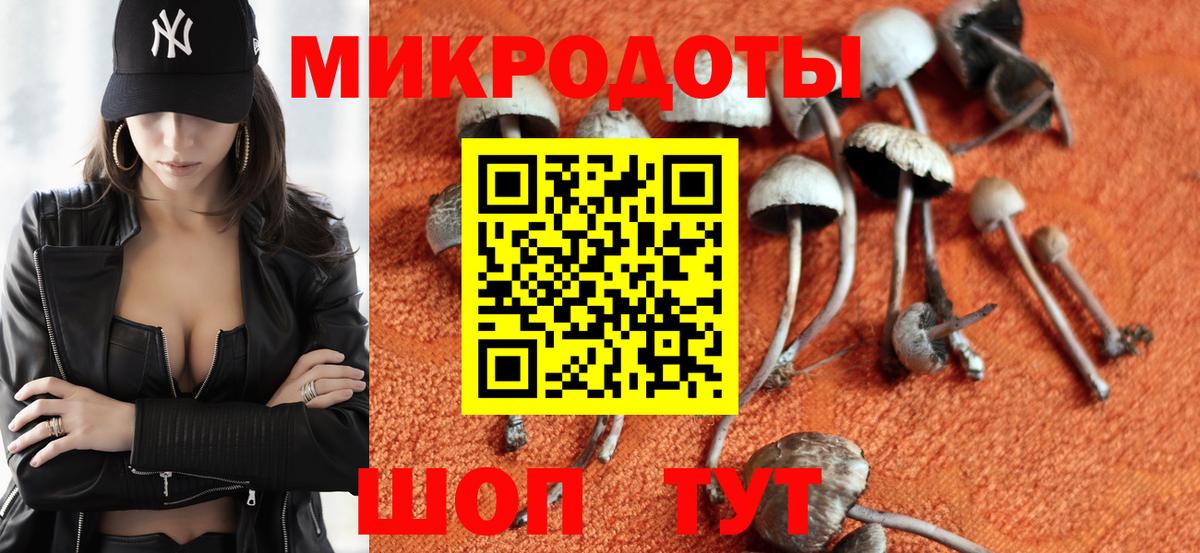Псилоцибиновые грибы Psilocybine cubensis  Вход с VPN  Камышлов  Галлюциногенные грибы мухоморы 