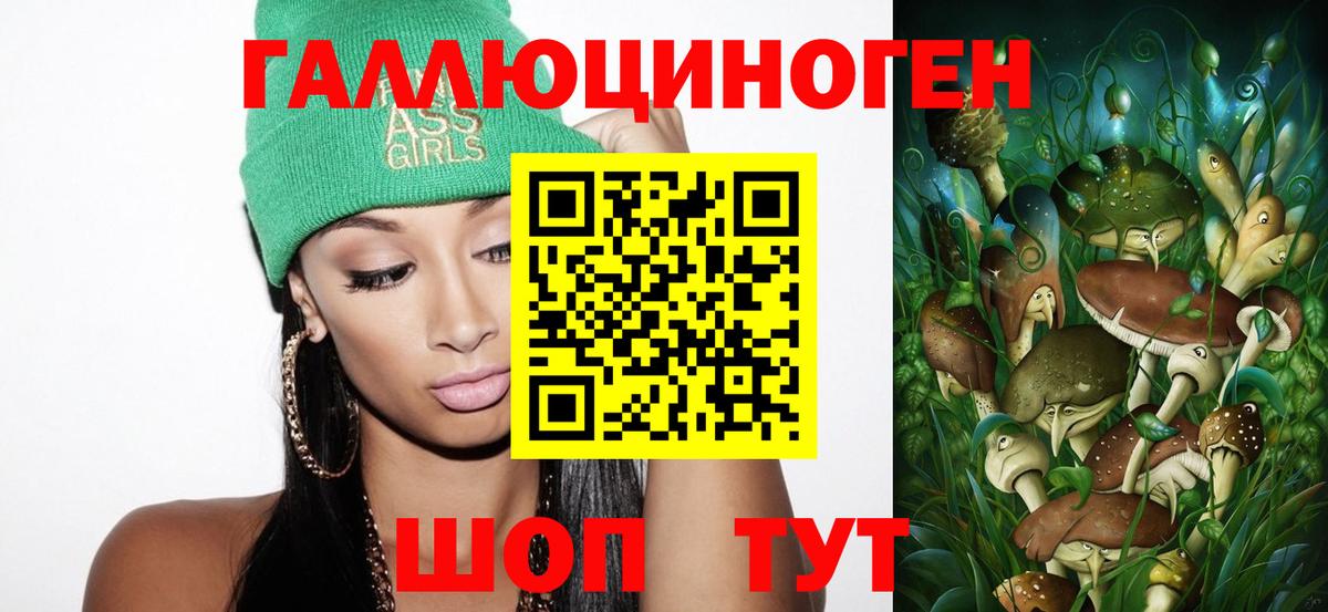Псилоцибиновые грибы MAGIC MUSHROOMS Камышлов