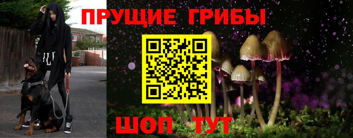 МАРИХУАНА  COCAIN  A-PVP  Метадон  COCAIN  CBD масло  Гашик  Вход с VPN  Камышлов  Купить наркотики  Мяу-Мяу  25-NBOMe 