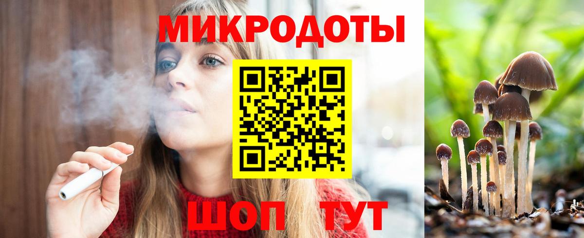 Псилоцибиновые грибы Psilocybe  Камышлов  Псилоцибиновые грибы мицелий 